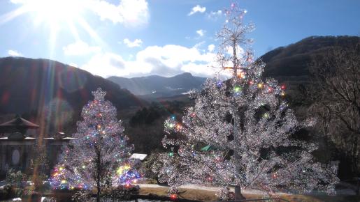 <Web割対象商品>【キングツアーバス旅】箱根ラリック美術館「ジュエリースイーツビュッフェランチ」と約15万粒が煌めくクリスタルガラスのクリスマスツリー〔聖蹟桜ヶ丘・府中・調布発〕3